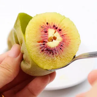 تصویر 2 از خرید کیوی تو سرخ خشک شده، طعمی شگفت انگیز، خاص و متفاوت